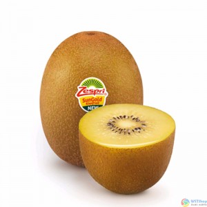 新西兰佳沛阳光金果